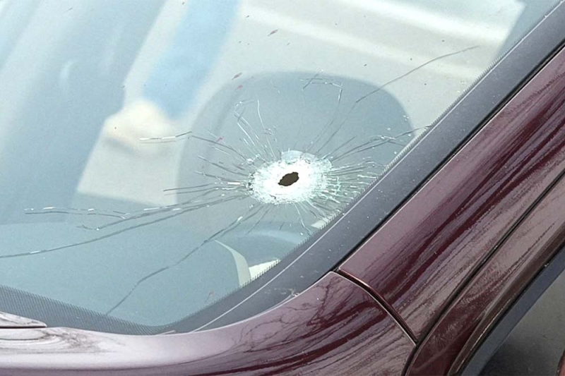 Дело "Рене Гуд": США охватили протесты после убийства женщины сотрудником иммиграционной полиции. Что известно