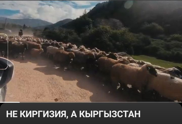 Кыргызстан. Языковые патрули добрались до туристического бизнеса