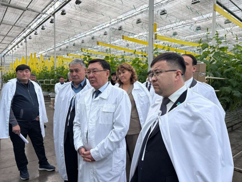 Законы проверяют практикой